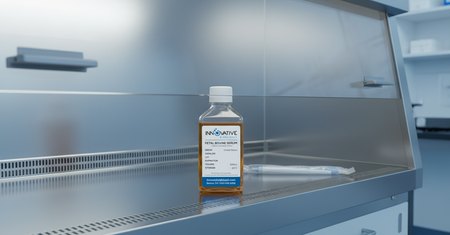 Fetal Bovine Serum bottle in biosafety cabinet - cell culture laboratory
