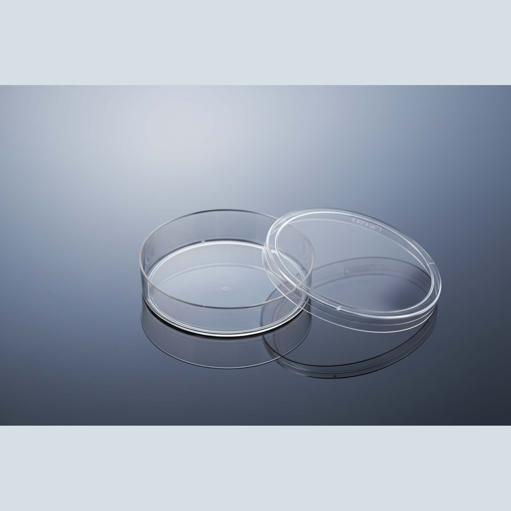 Cell Culture Dish - 100mm (Individual)