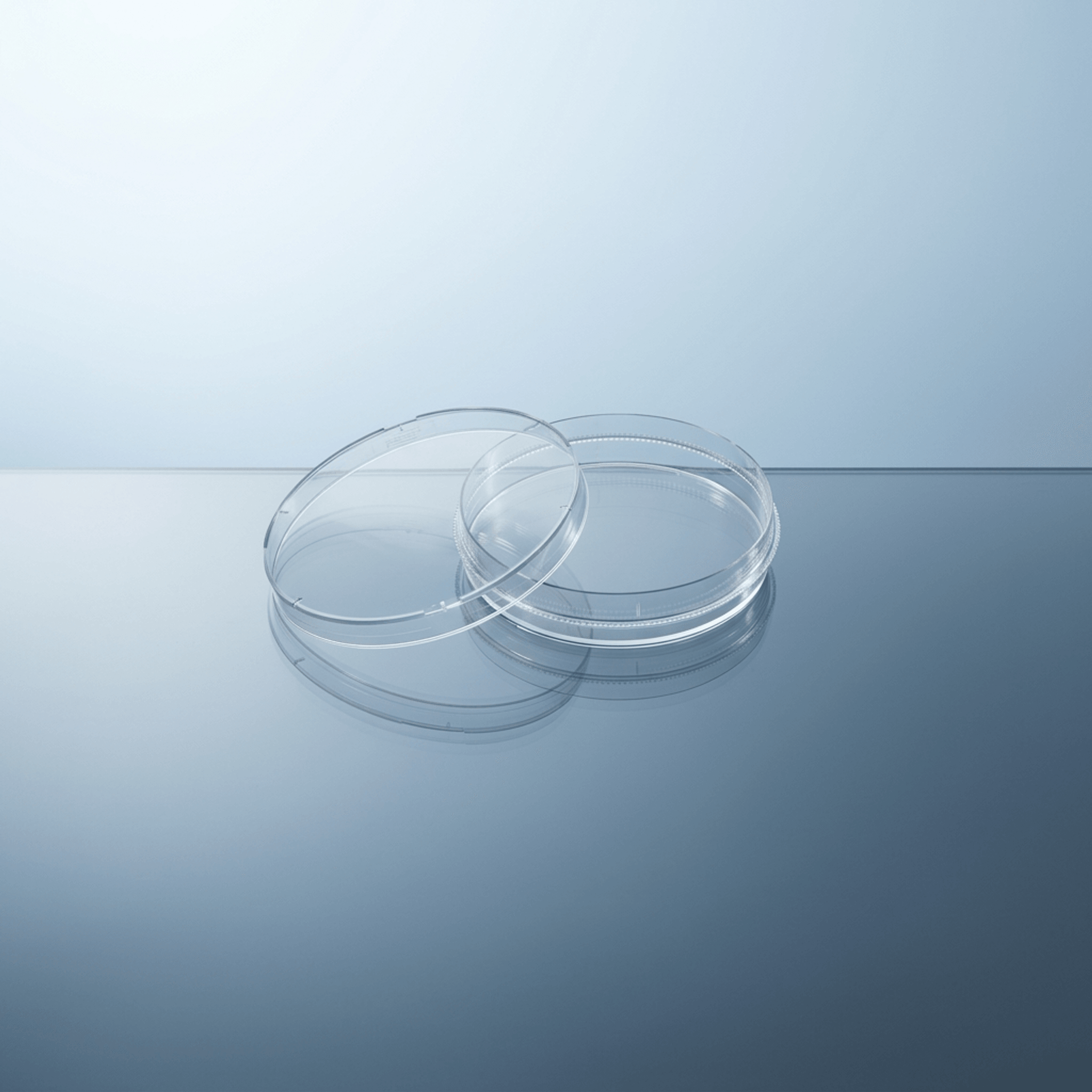 Cell Culture Dishes - 35mm (500/cs)