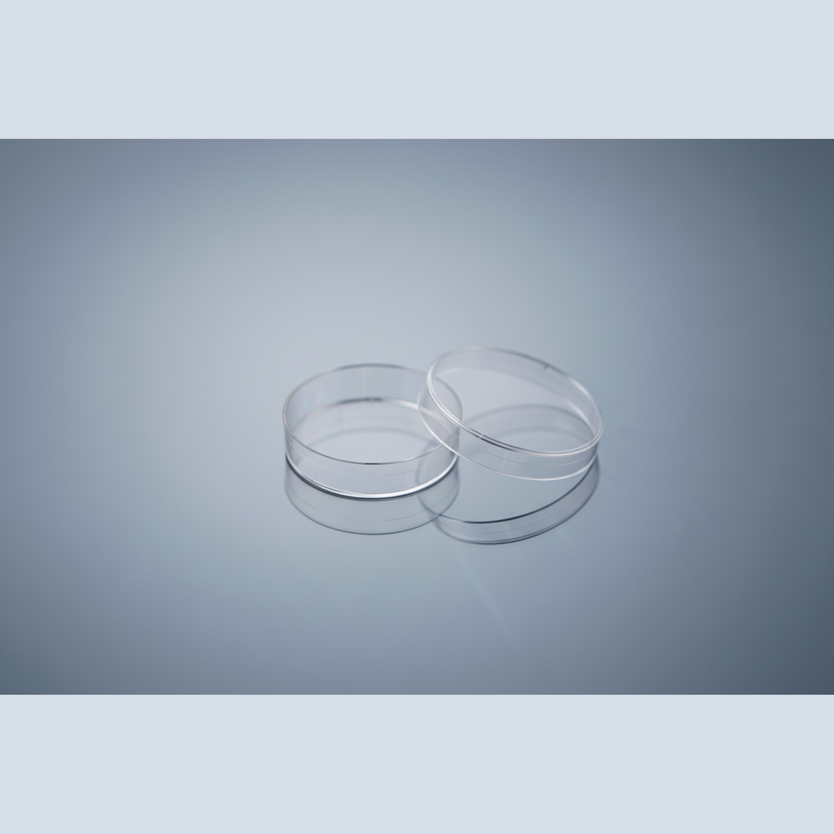 Cell Culture Dish - 60mm (Individual)