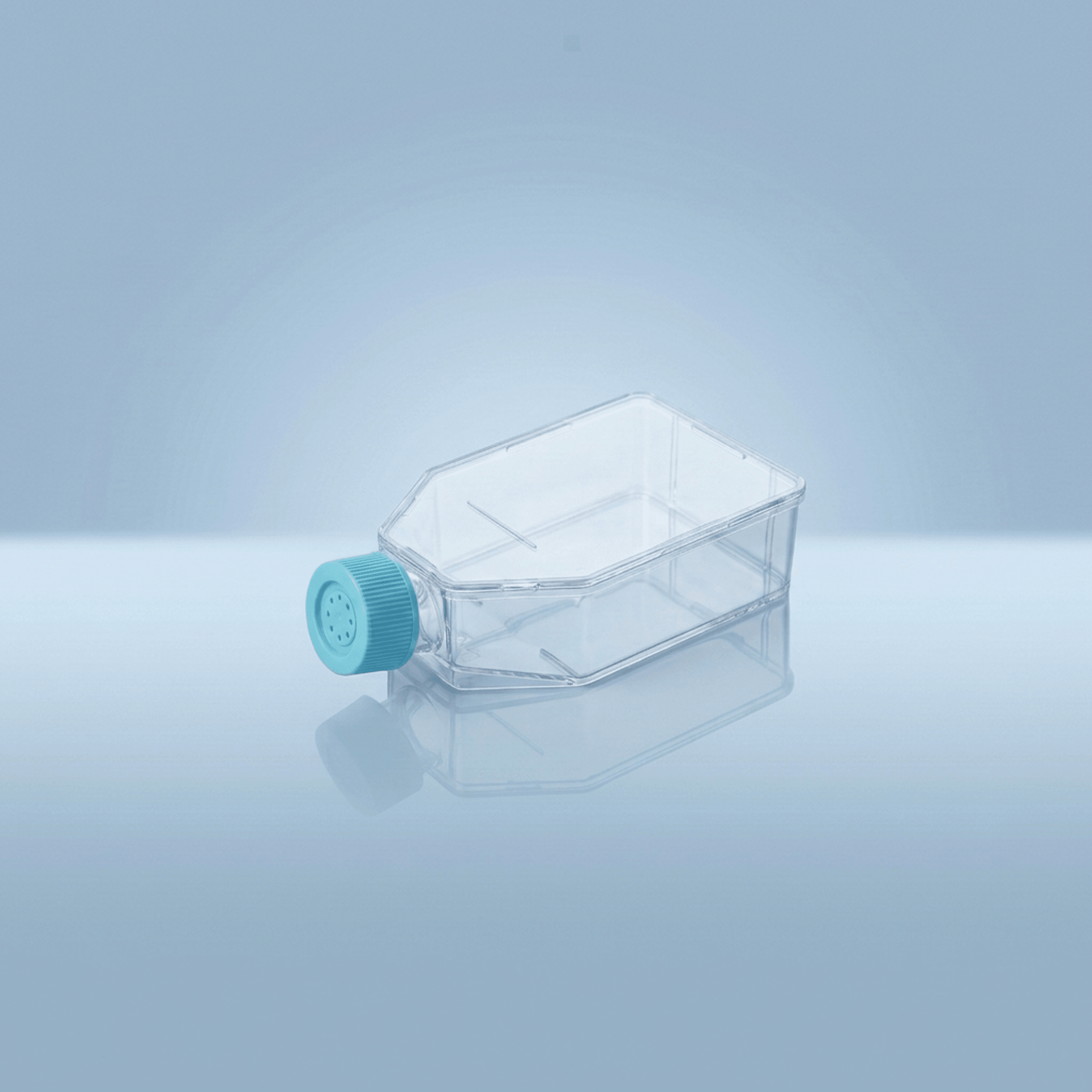 Cell Culture Flasks - Standard - T-175 (175cm2) (40/cs)