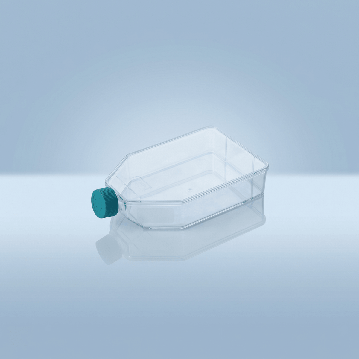 Cell Culture Flasks - Standard - T-25 (25cm2) (200/cs)