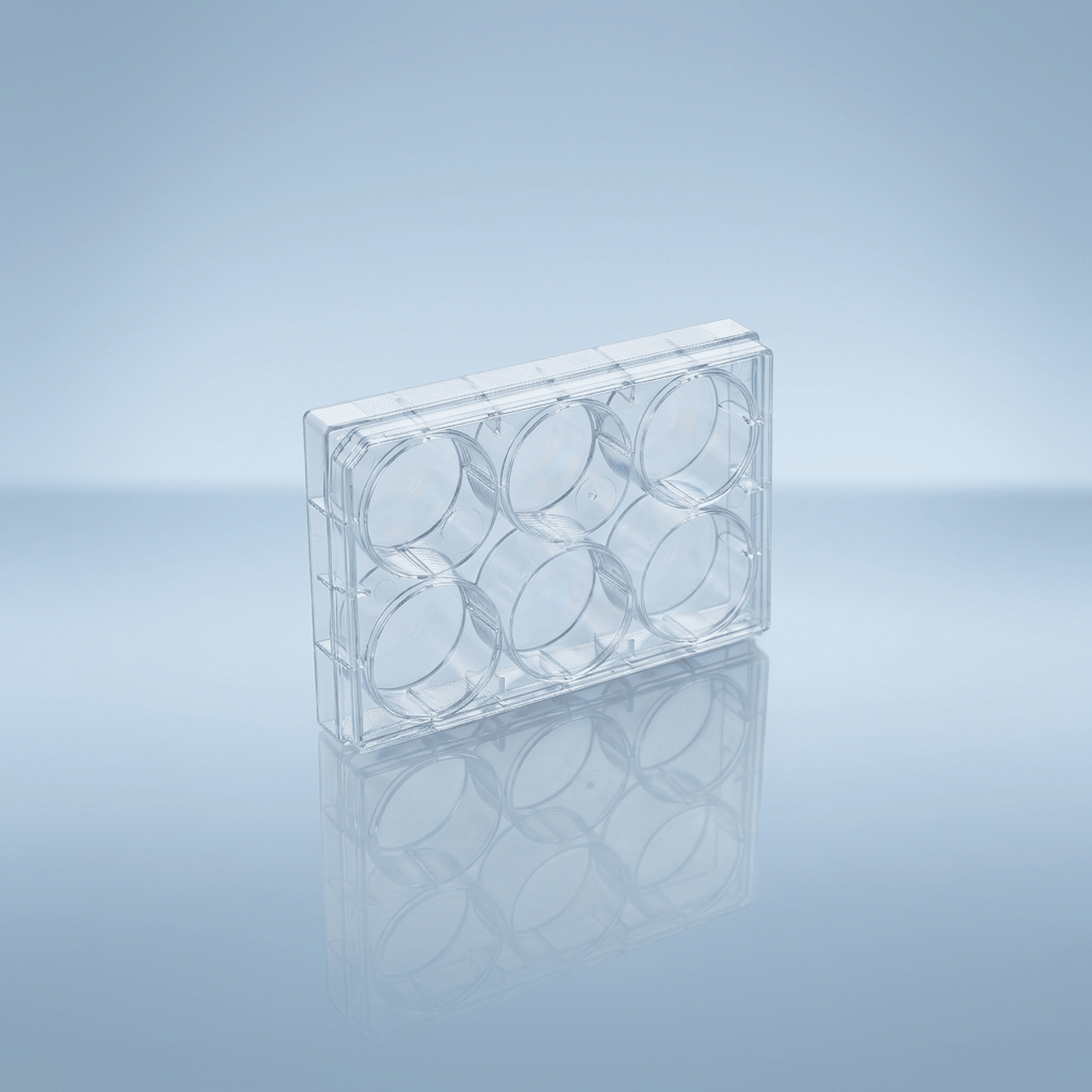 Cell Culture Plates - 6 Well