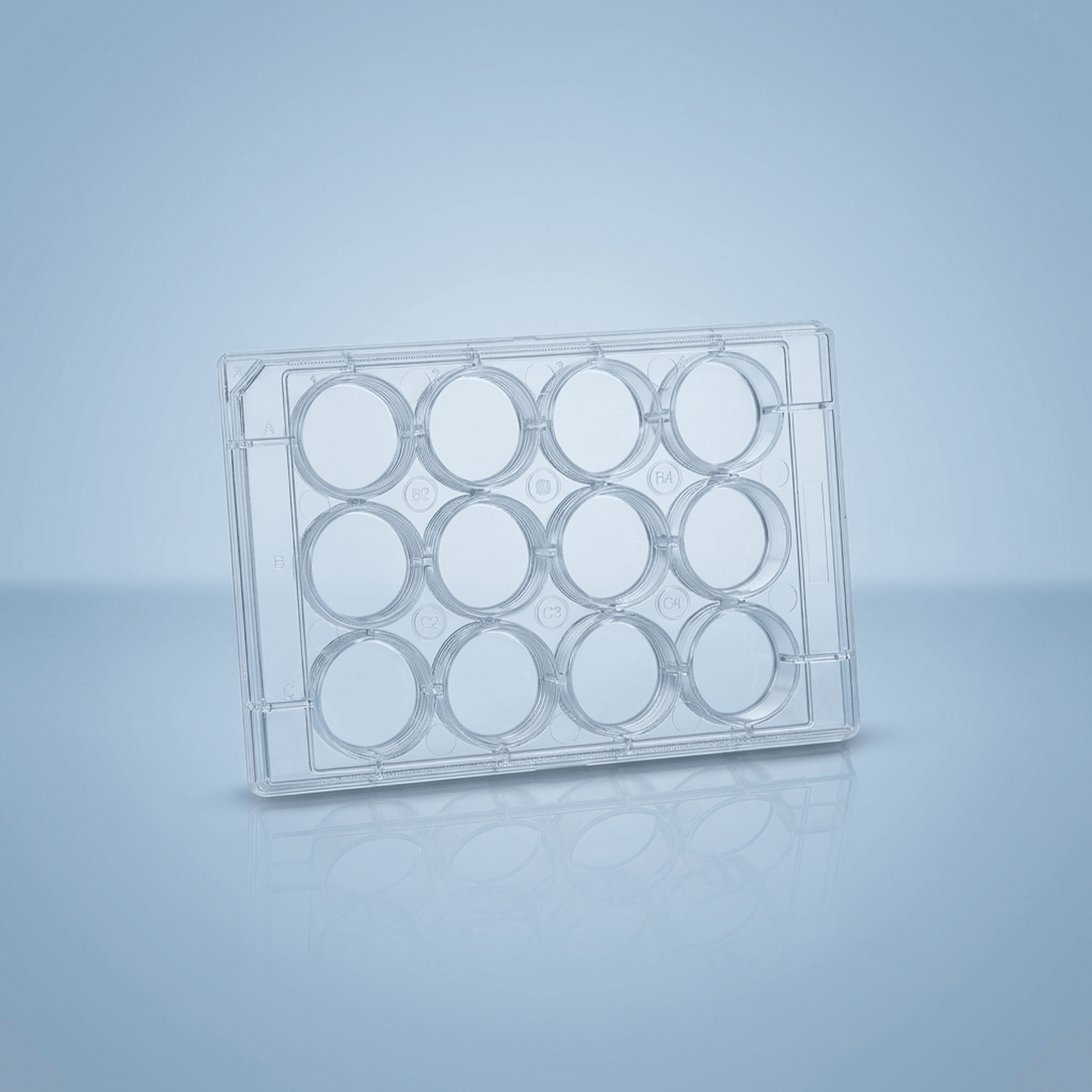 Cell Culture Plates | 6 to 384 Well TC-Treated – Innovative Bioscience