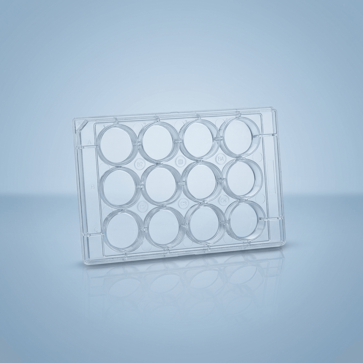 Cell Culture Plates - 12 Well