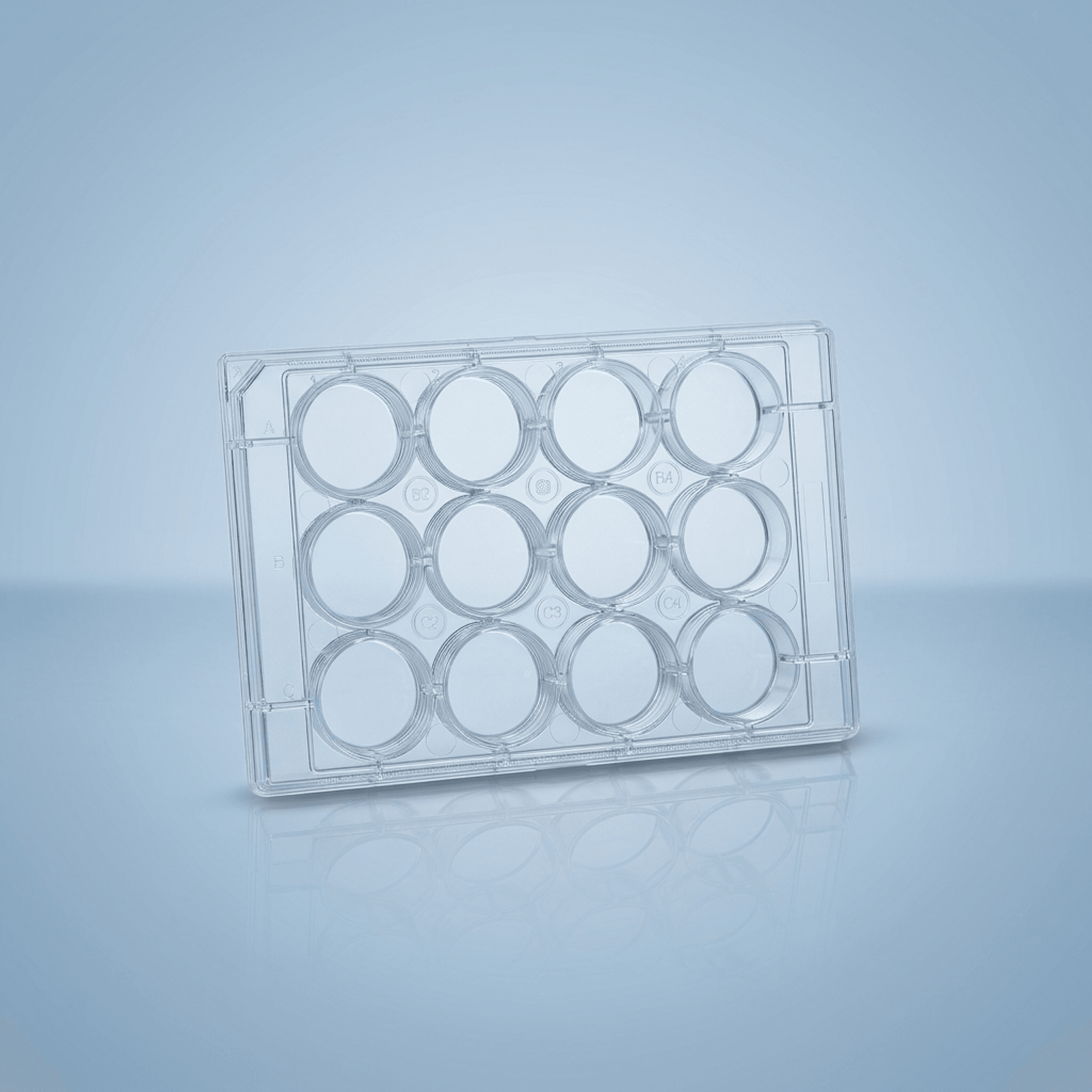 Cell Culture Plates - 12 Well