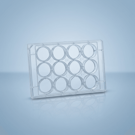 Cell Culture Plates - 12 Well