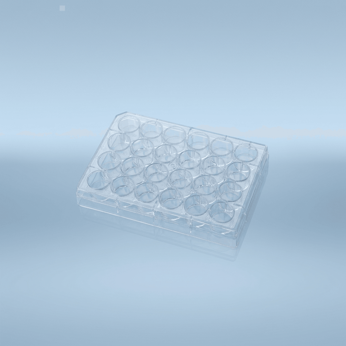 Cell Culture Plates - 24 Well