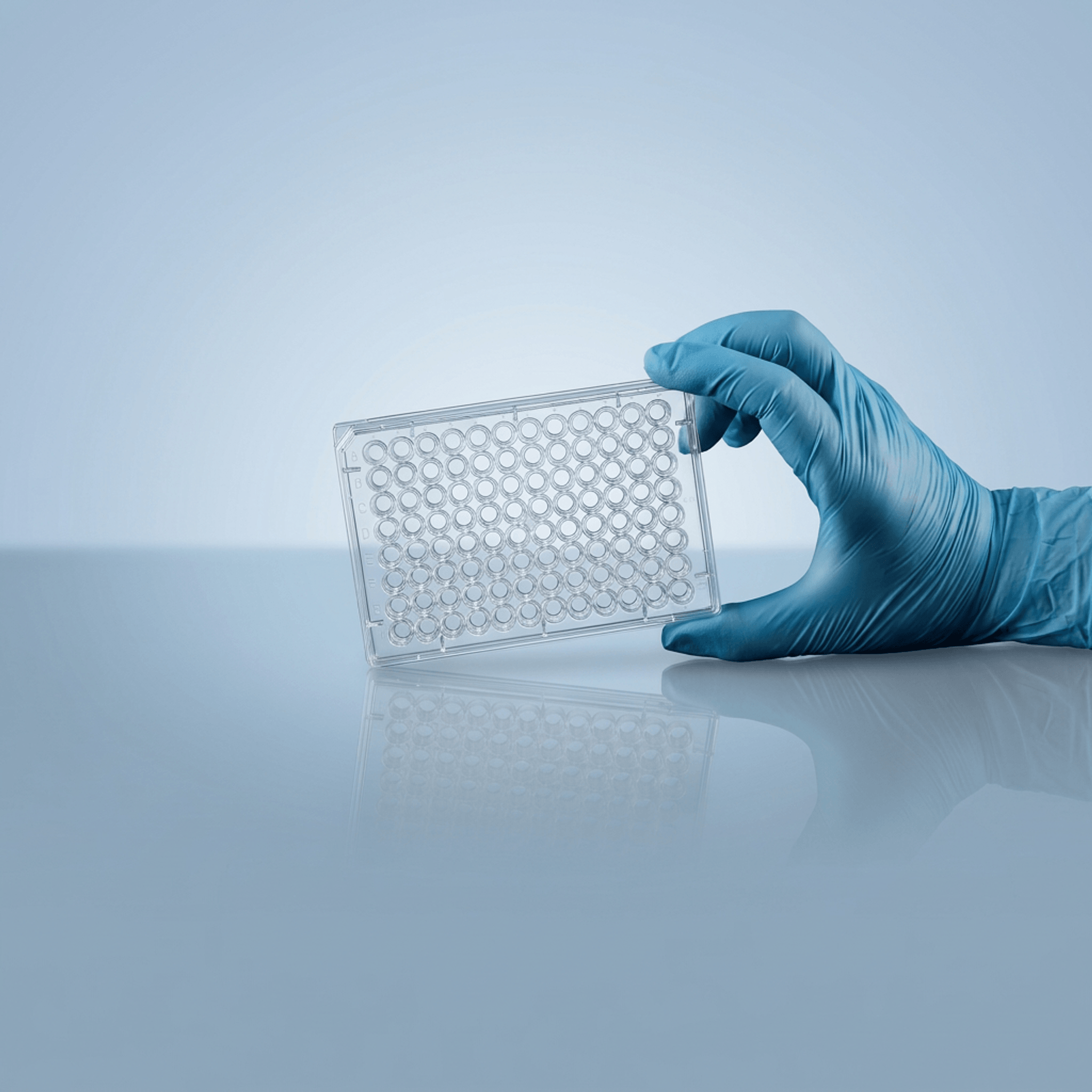 Cell Culture Plates - 96 Well (Gloved Hand)