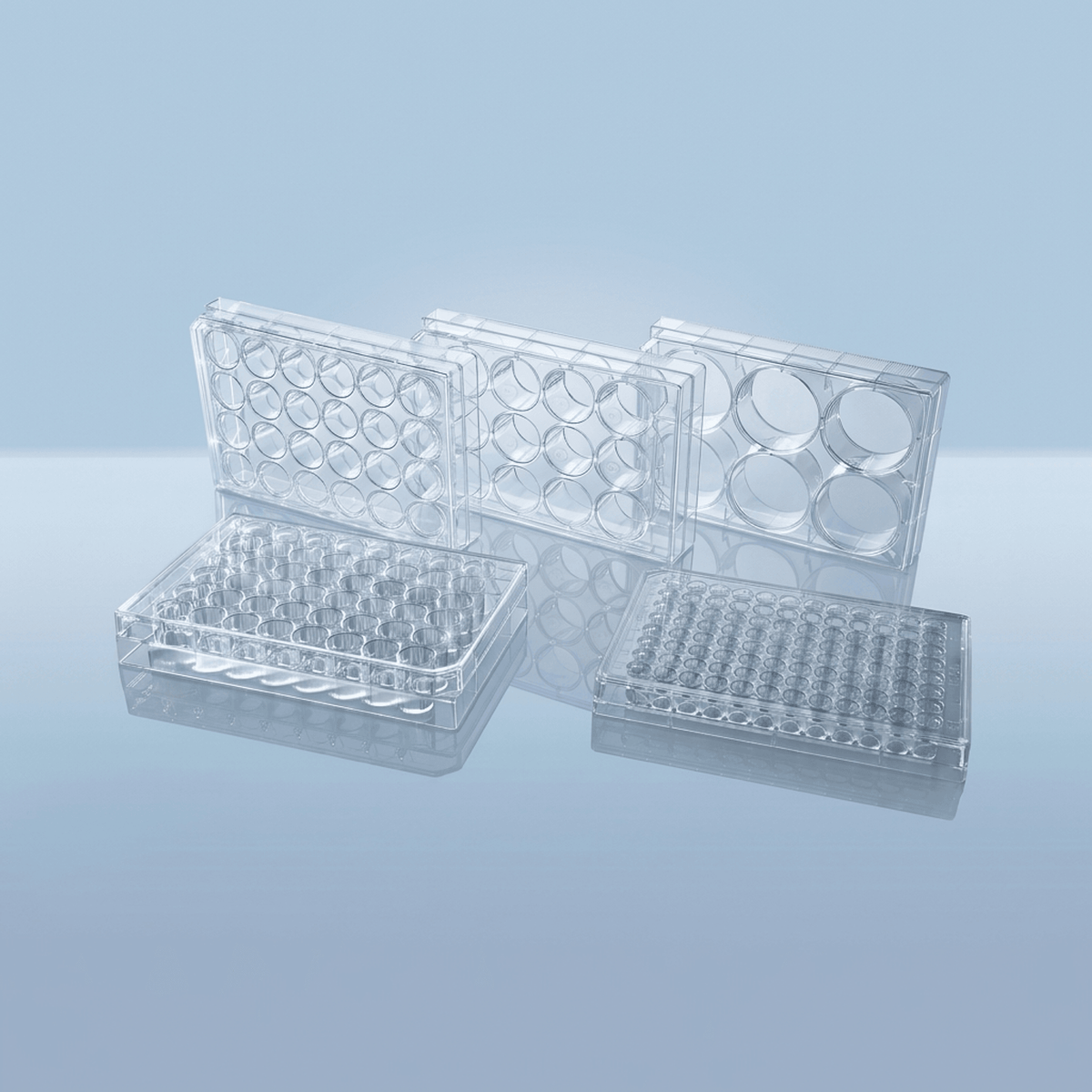 Cell Culture Plates - Complete Size Range