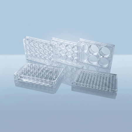 Cell Culture Plates - Complete Size Range