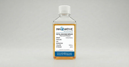 Charcoal Stripped Fetal Bovine Serum 500mL by Innovative Bioscience