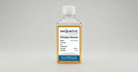 Chicken Serum 500mL by Innovative Bioscience