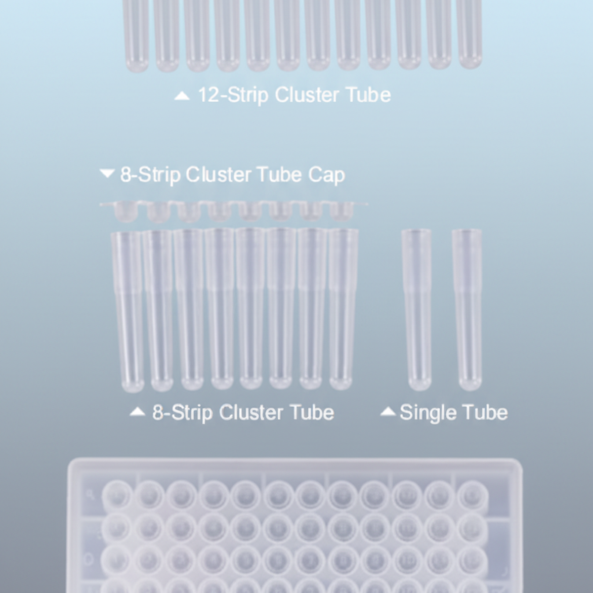 Cluster Tube Cap Strips | Innovative Bioscience