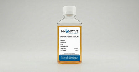 Donor Horse Serum 500mL by Innovative Bioscience