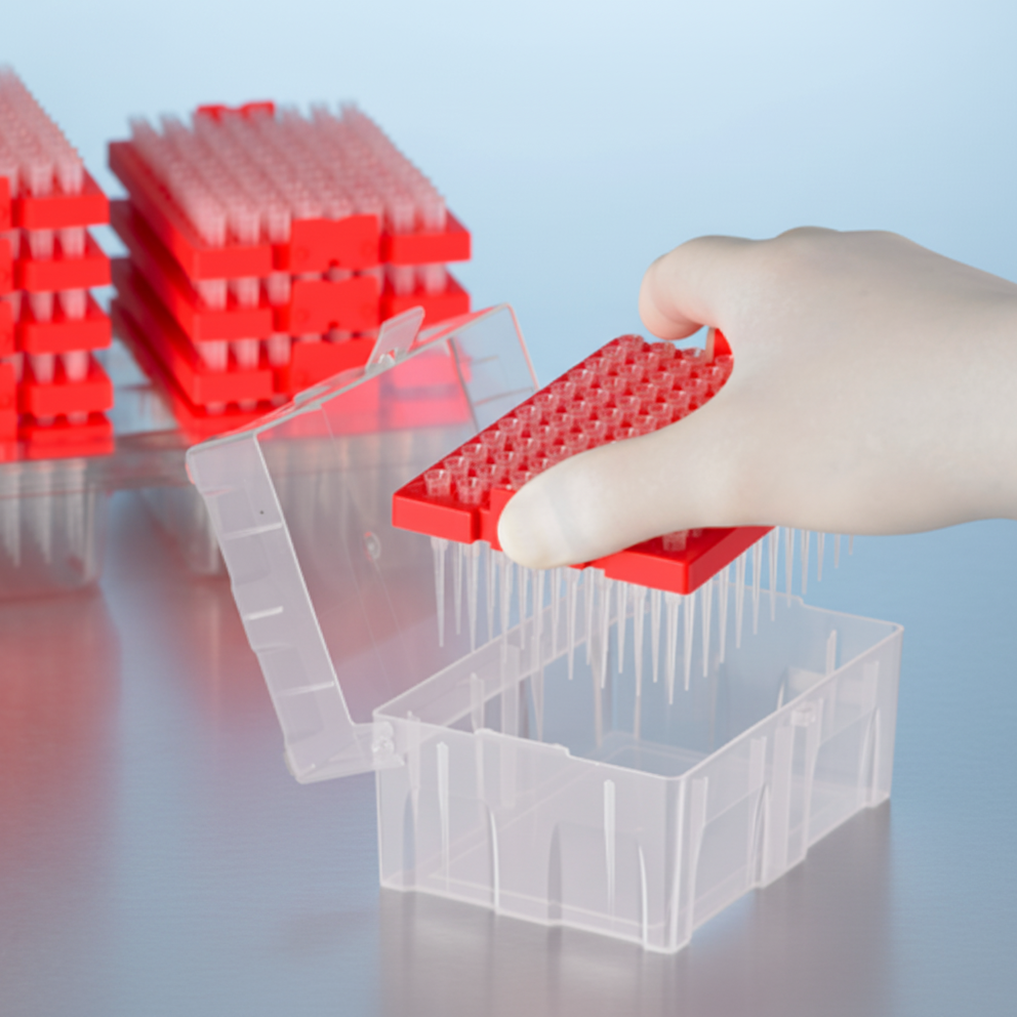 Universal filter pipette tips — gloved hand inserting refill rack into hinged-lid tip box