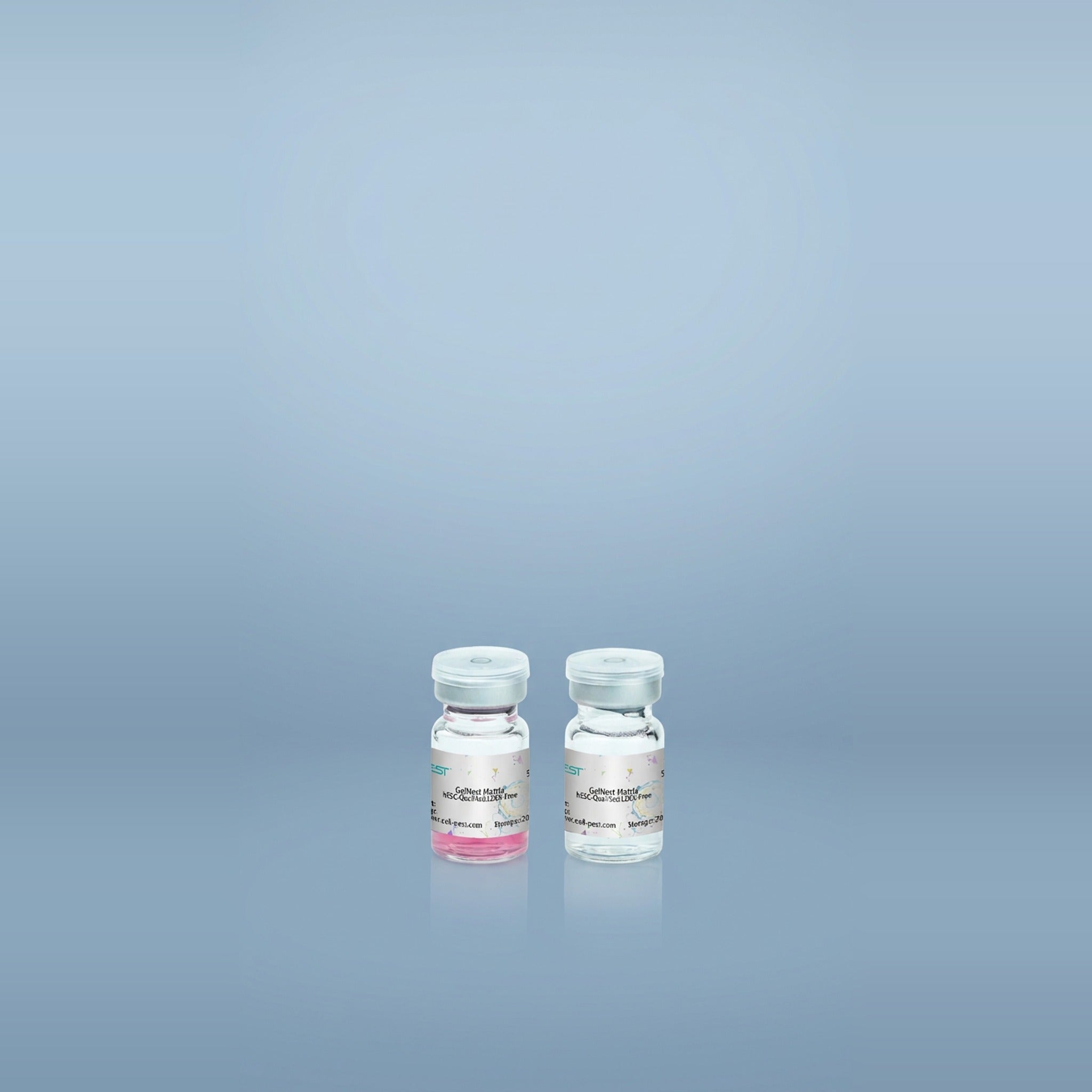 NEST GelNest Basement Membrane Matrix for Cell Culture
