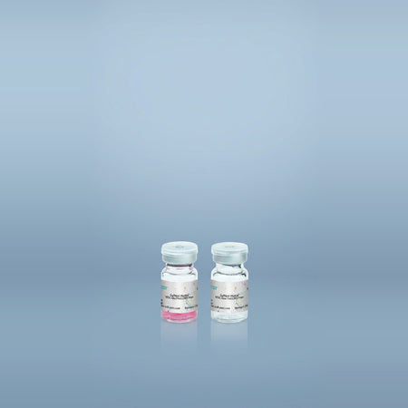 NEST GelNest Basement Membrane Matrix for Cell Culture