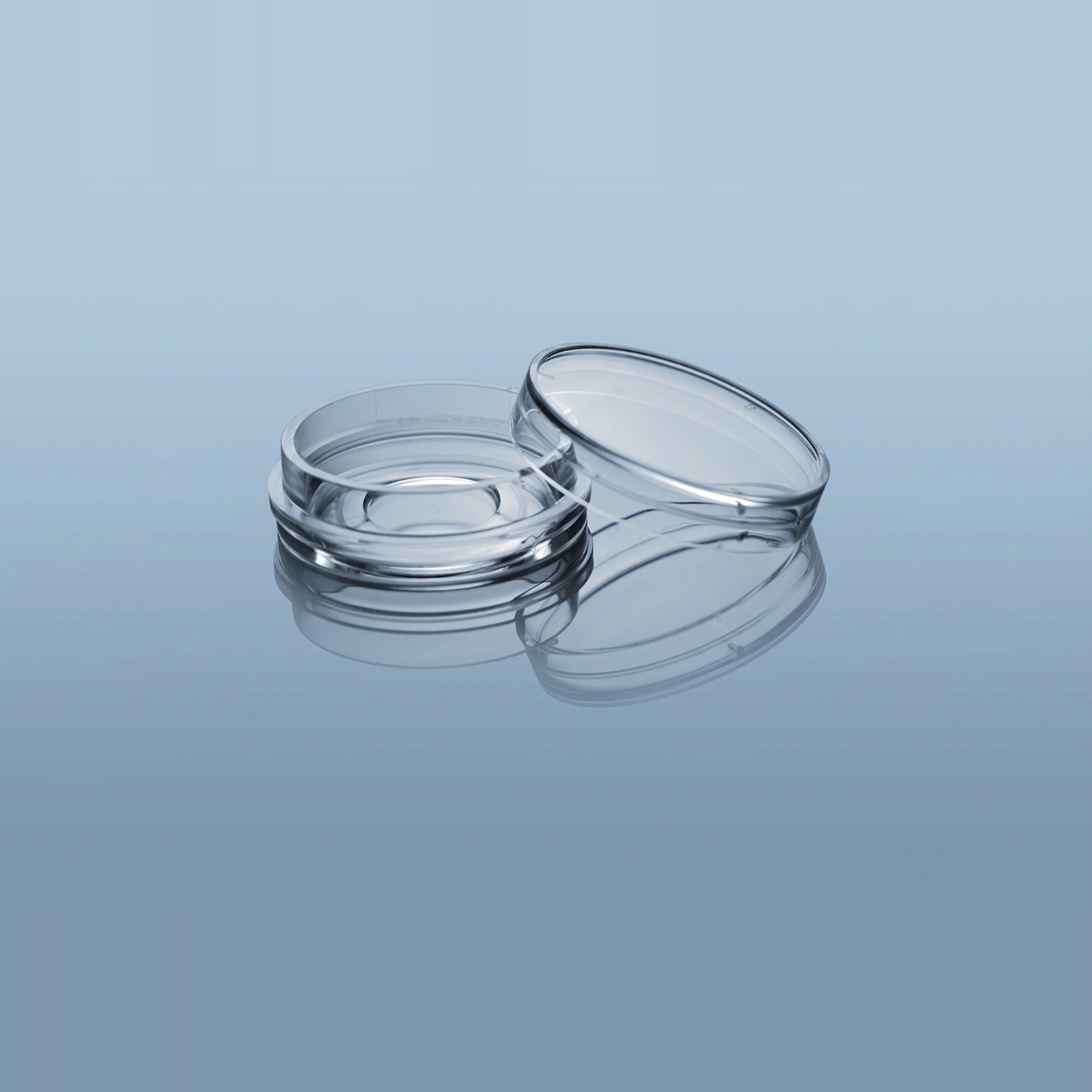 NEST Glass Bottom 6-Well Cell Culture Plate for Live Cell Imaging