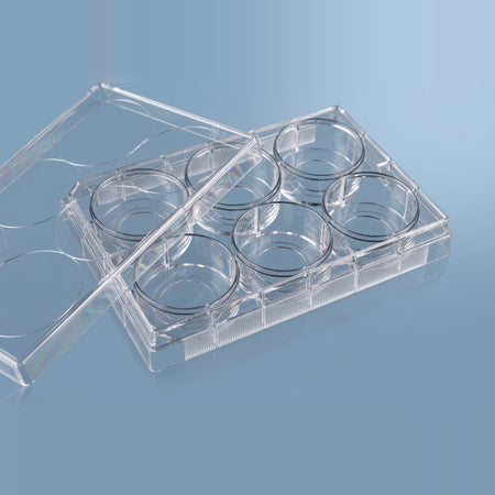 NEST Glass Bottom 24-Well Cell Culture Plate for Fluorescence Microscopy