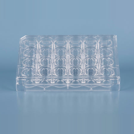 NEST Glass Bottom 96-Well Cell Culture Plate for High-Throughput Imaging