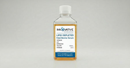 Lipid Depleted Fetal Bovine Serum | 500mL by Innovative Bioscience