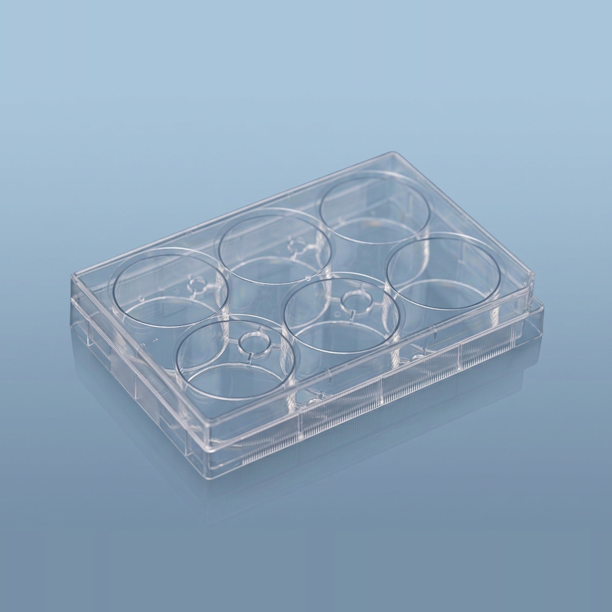 NEST Low Evaporation EDGE 6-Well Cell Culture Plate
