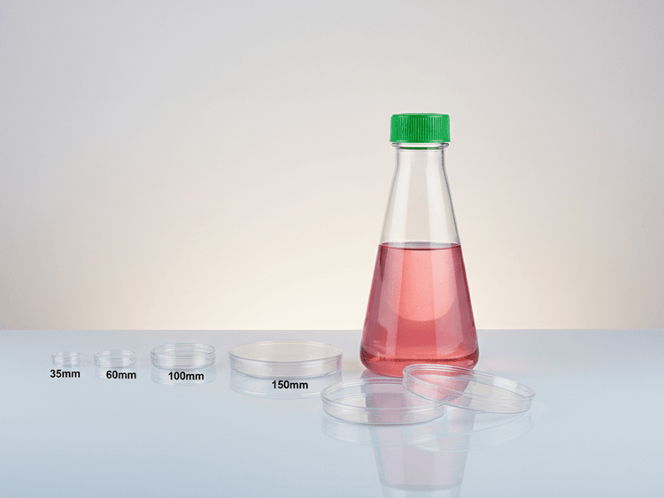 Mega menu image for cell culture