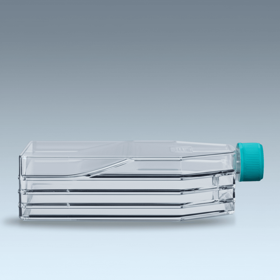 Multi-Layer Cell Culture Flasks - 3-Layer (Alternate View)