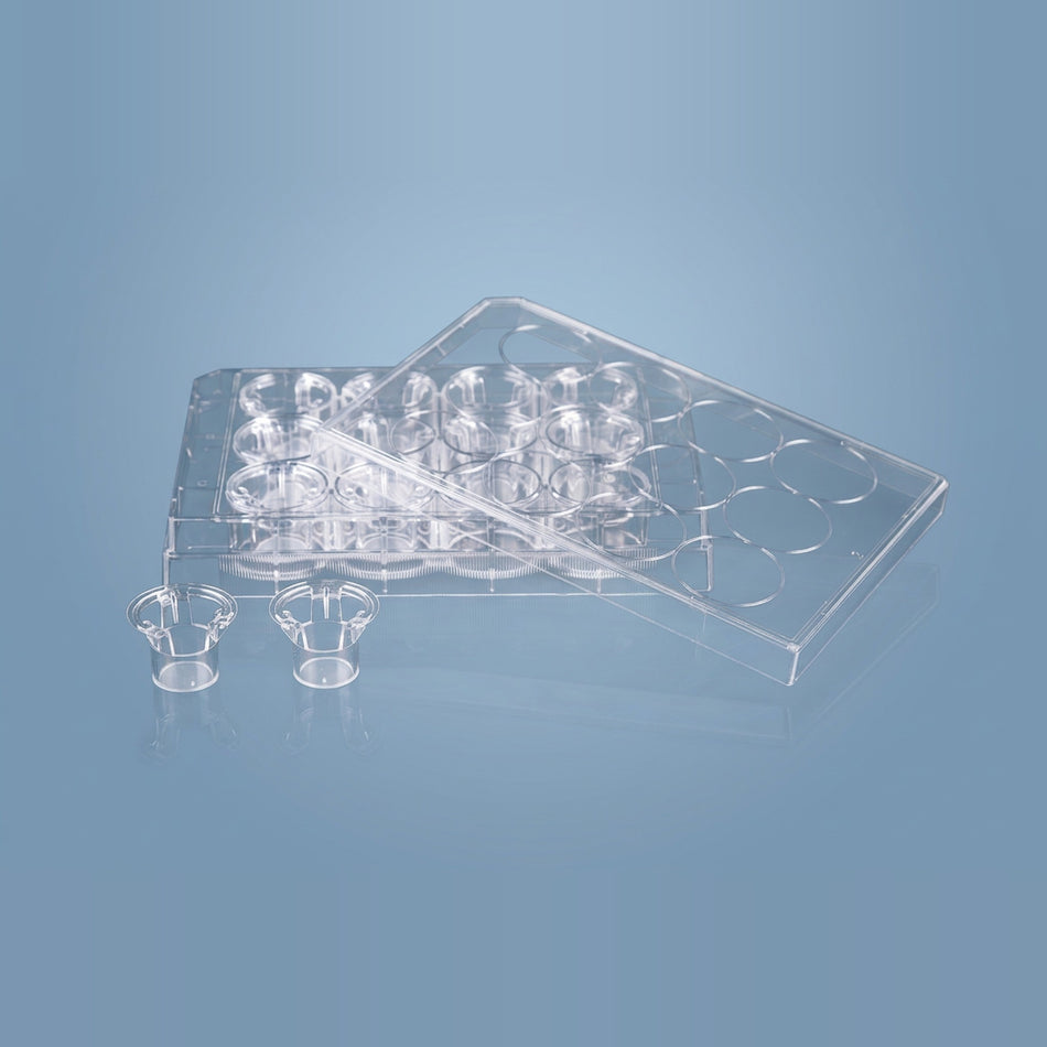 NEST Transwell Membrane Inserts in Multi-Well Plate for Cell Migration Assays